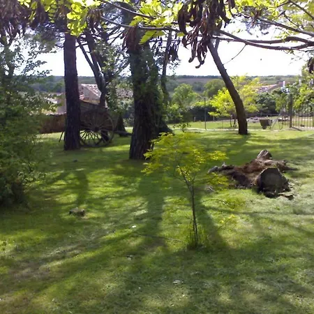 El Senorio De La Serrezuela 3*